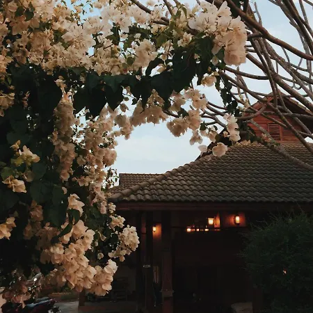 Baan Mai Sak-3